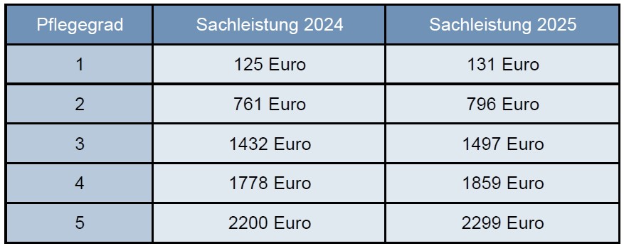 Sachleistung2025b